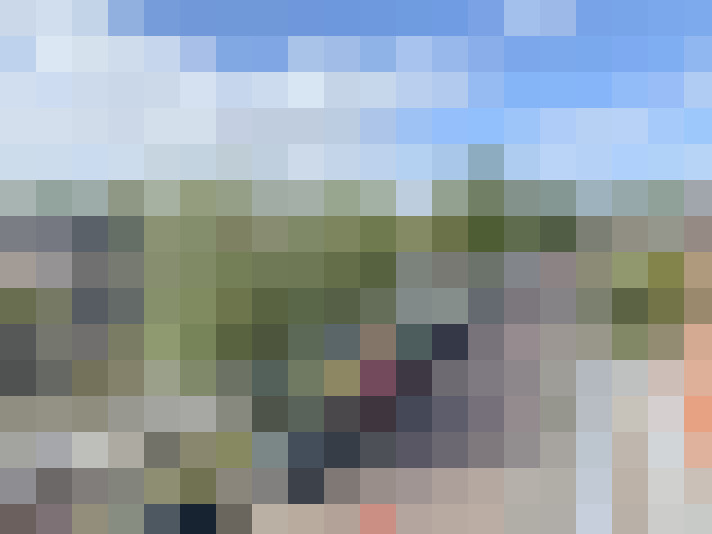 Image 25