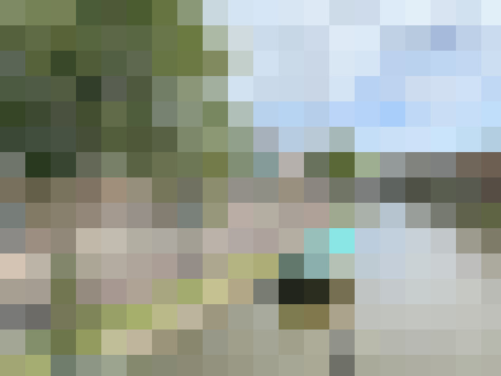 Image 27