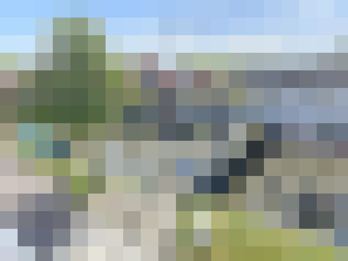Image 24