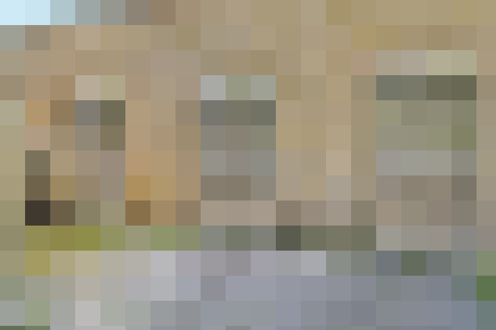 Image 15