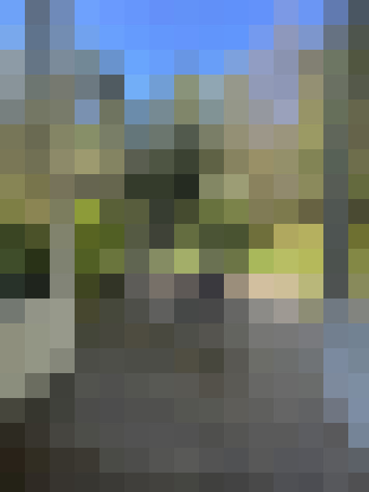 Image 14