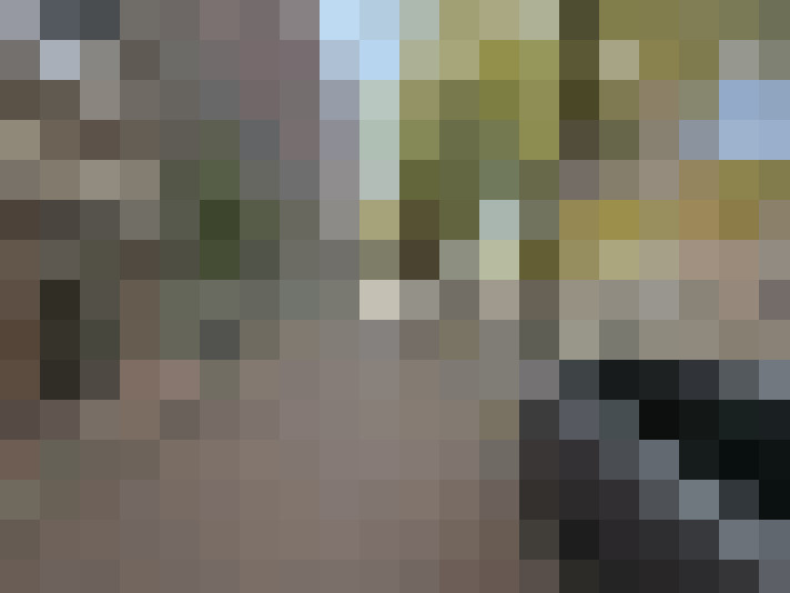 Image 22