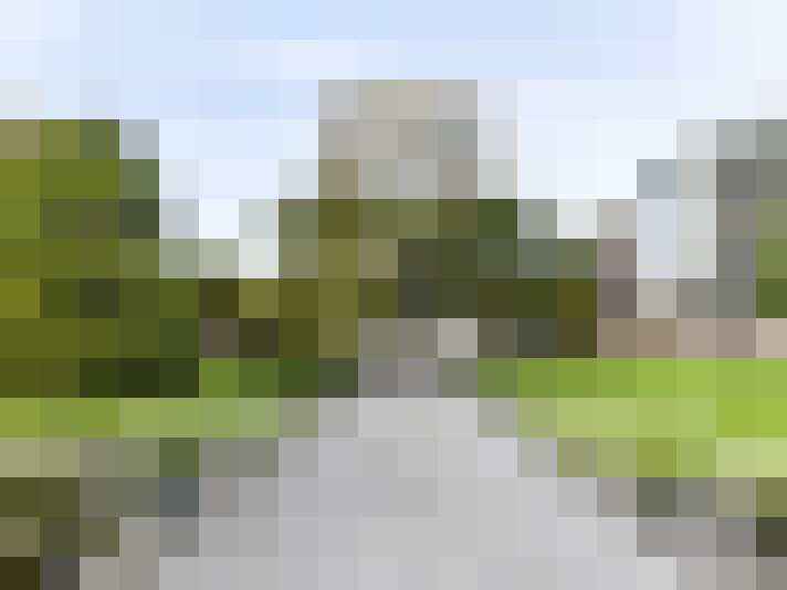 Image 23