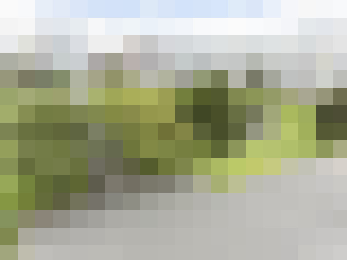 Image 18
