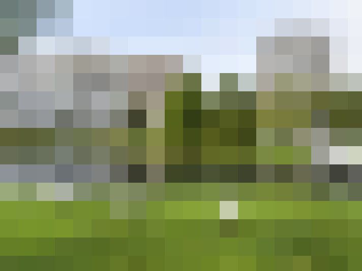 Image 24