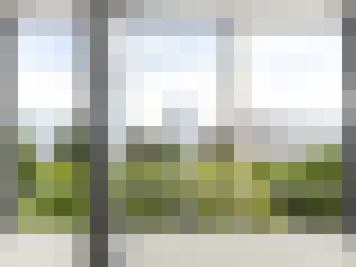 Image 20