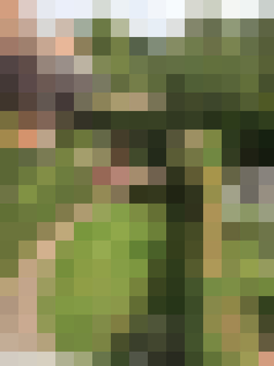 Image 22