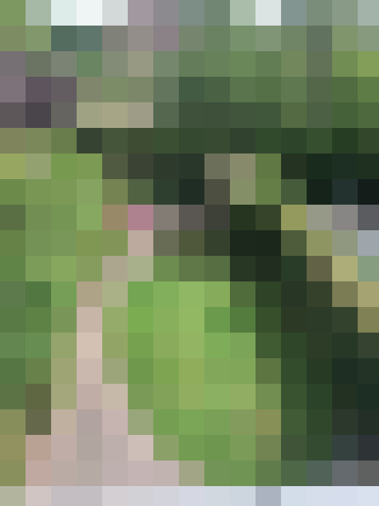 Image 23
