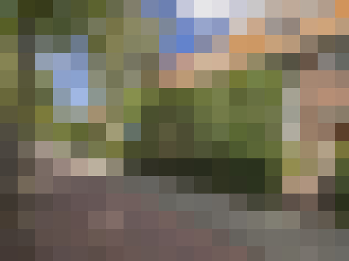 Image 24