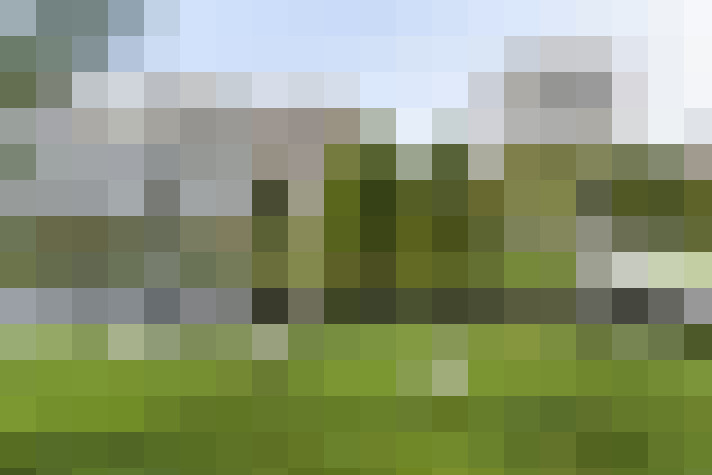 Image 24
