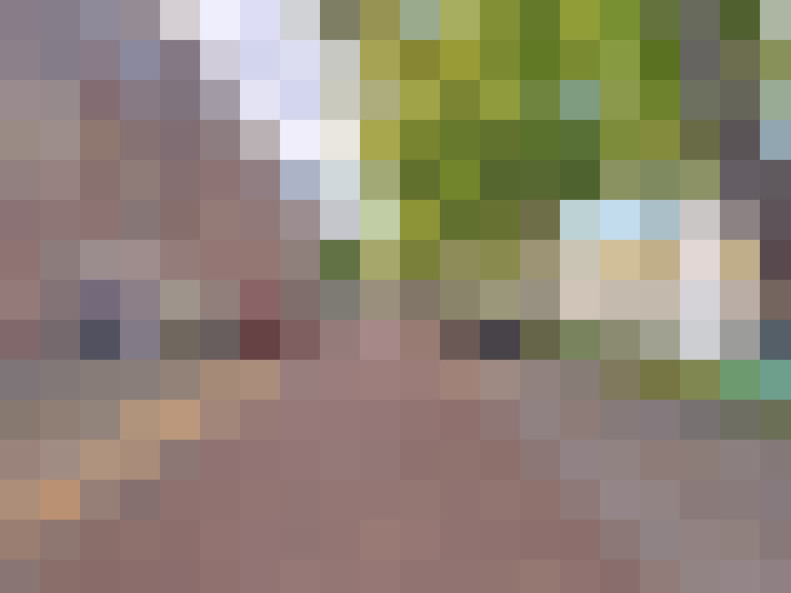 Image 20