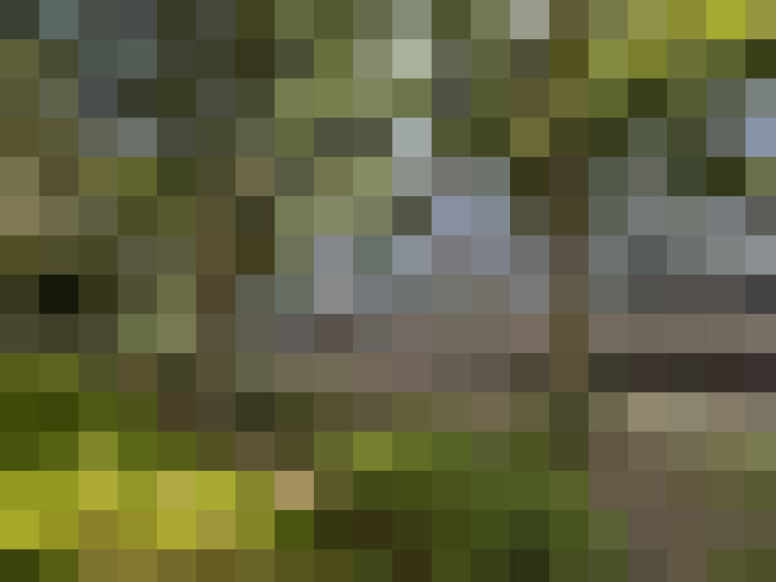 Image 29