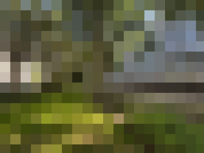 Image 28