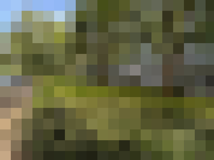 Image 23