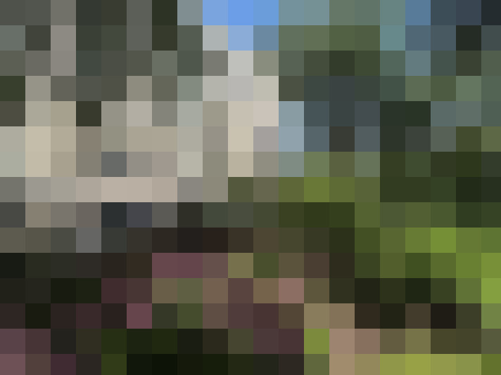 Image 27