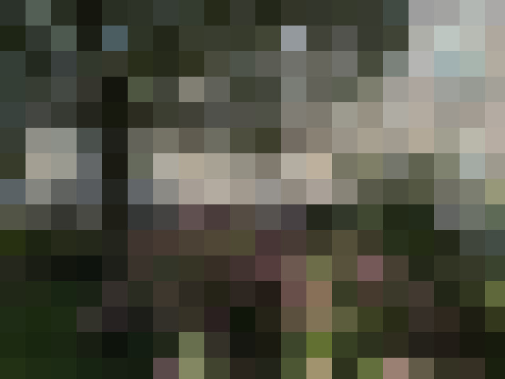 Image 26