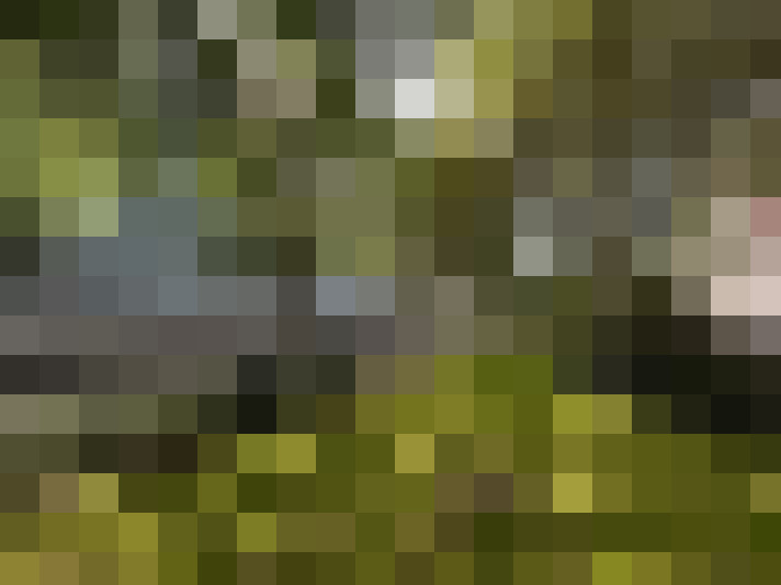 Image 30