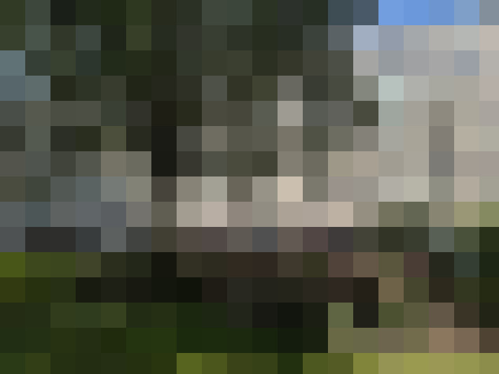 Image 25