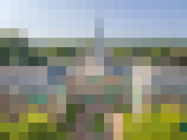 Image 16