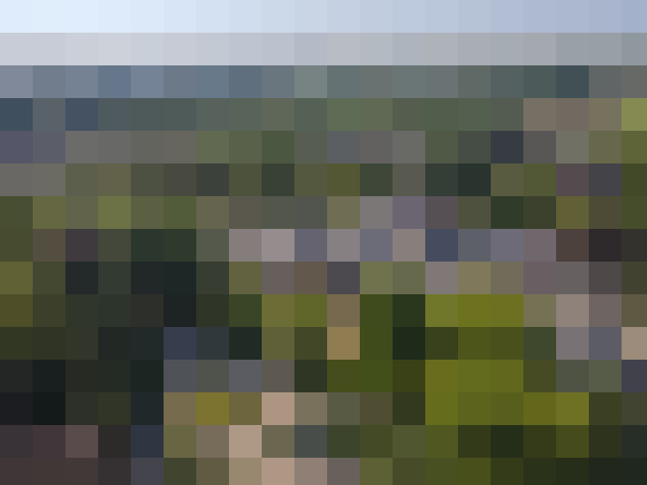 Image 15