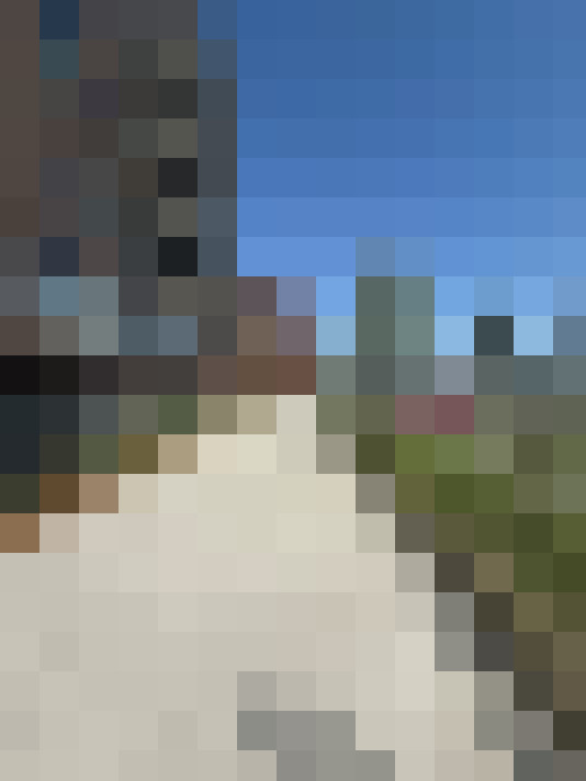 Image 31