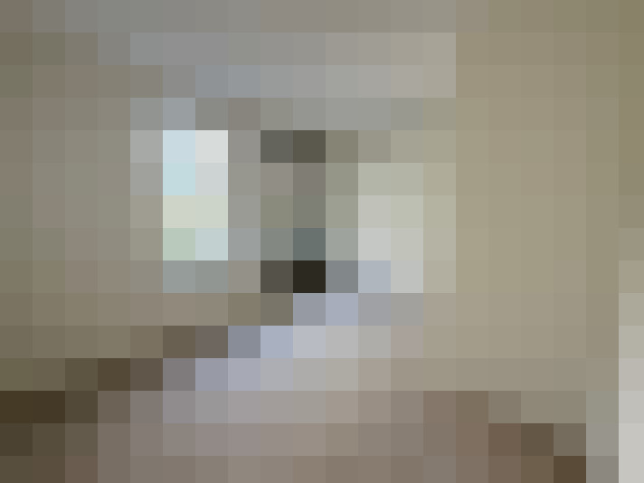 Image 23