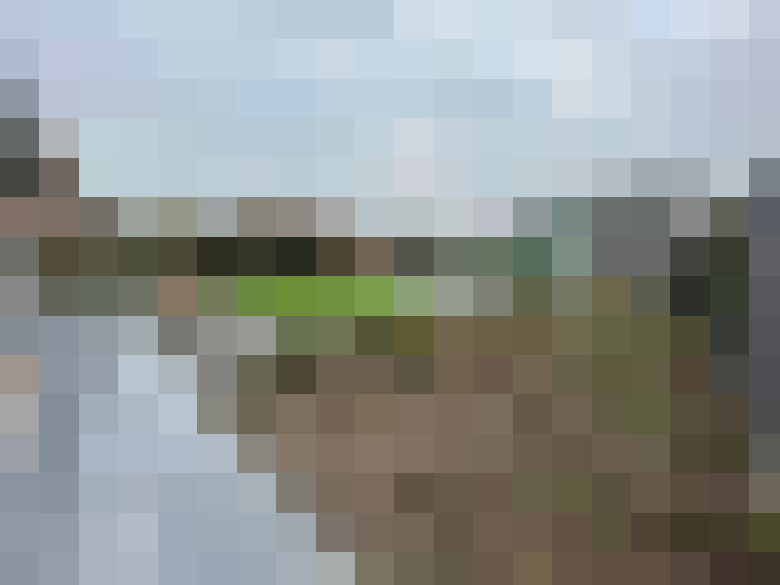 Image 53
