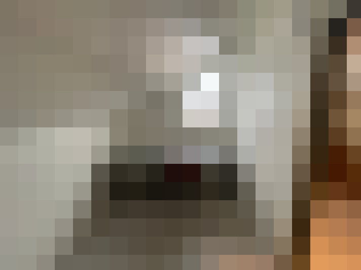 Image 41