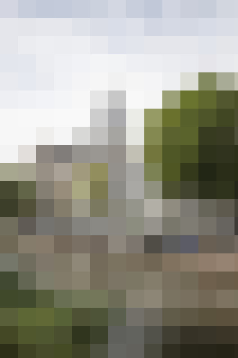 Image 36