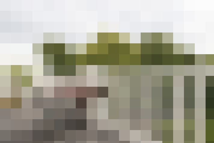 Image 23