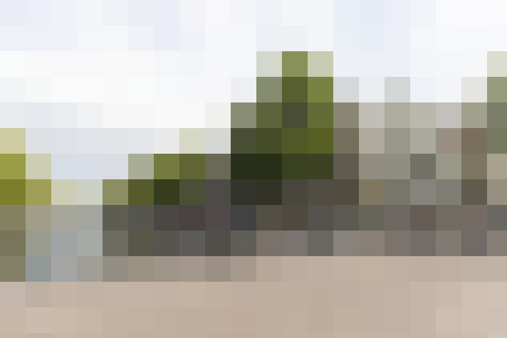 Image 40