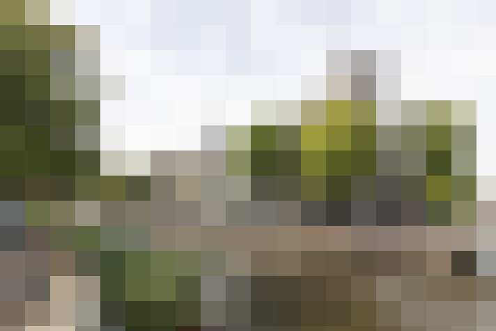 Image 37