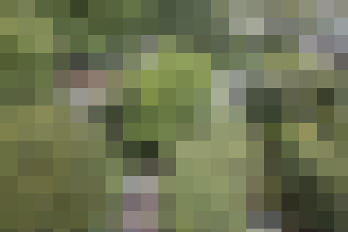 Image 24