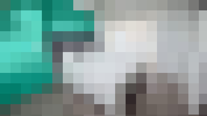 Image 17