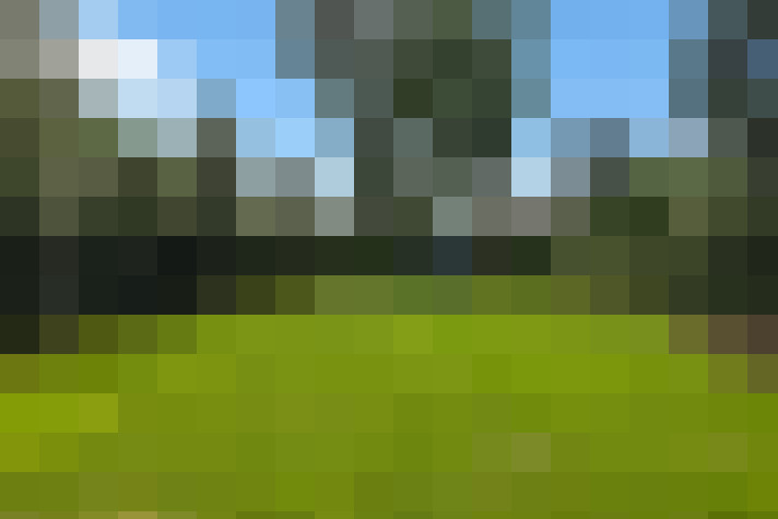 Image 25