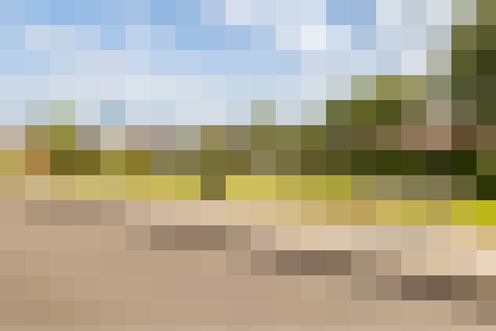 Image 28