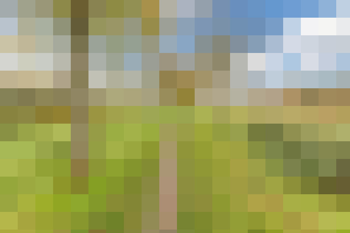 Image 29