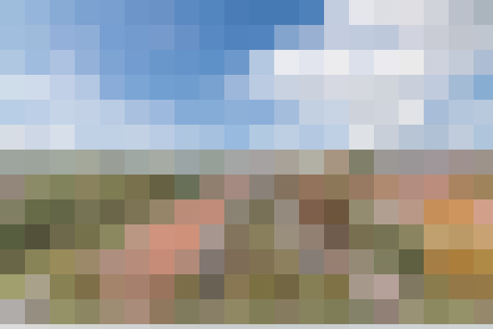 Image 31