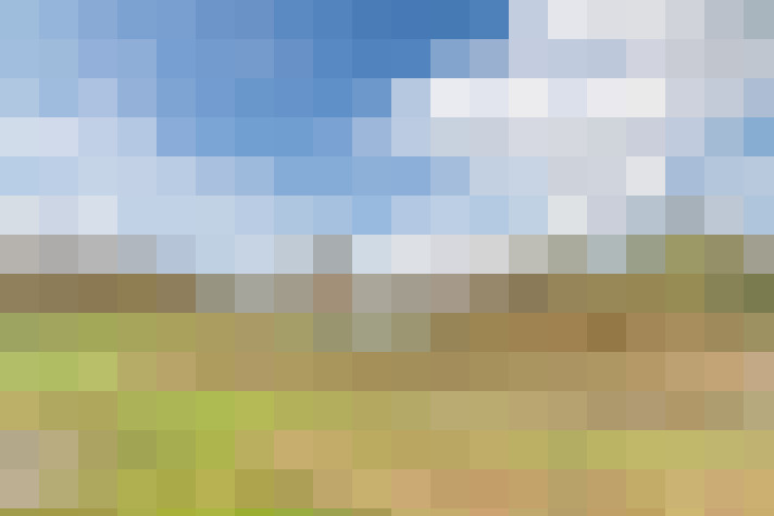 Image 30
