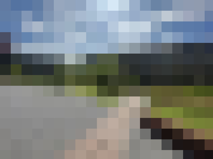 Image 30
