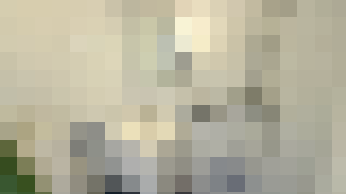 Image 13