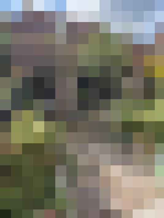 Image 26