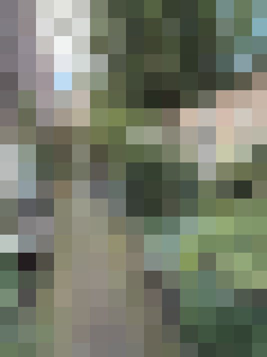 Image 25