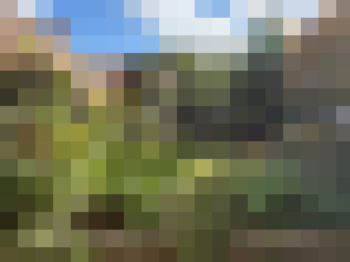 Image 28