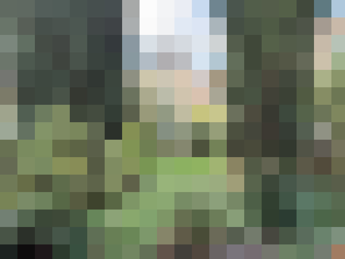Image 24