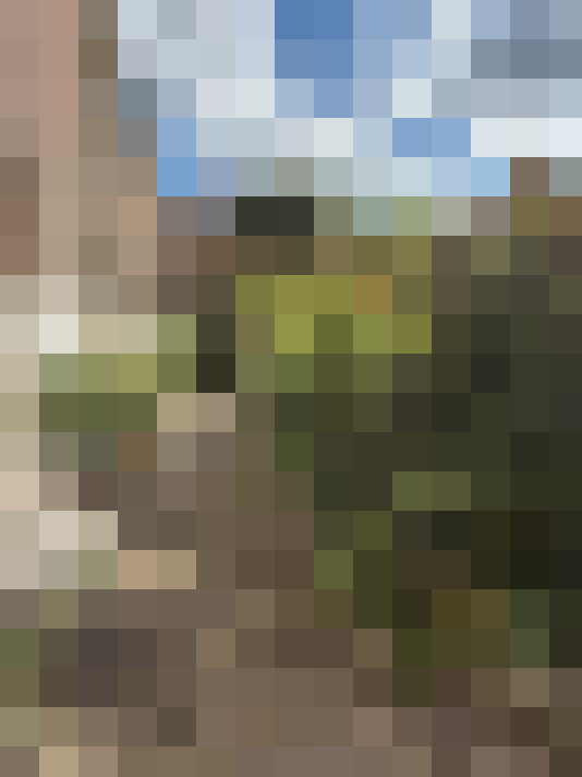 Image 27
