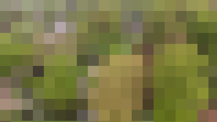 Image 24