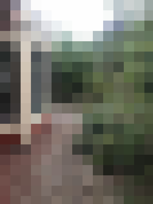 Image 55