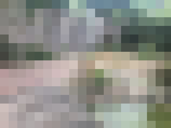 Image 54