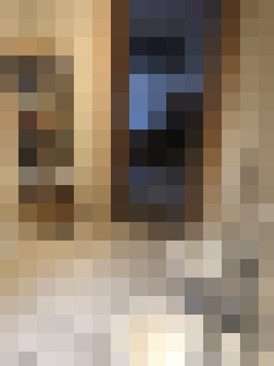 Image 41